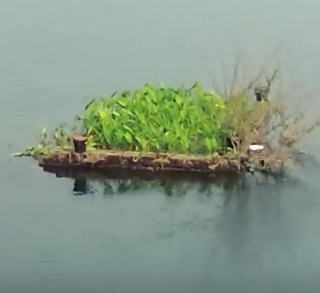 অভিশাপ, ভাগ্য ও অলৌকিকে বিশ্বাস!
