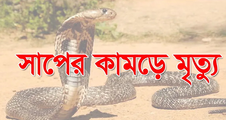 নিয়ামতপুরে সাপের কামড়ে কিশোরীর মৃত্যু