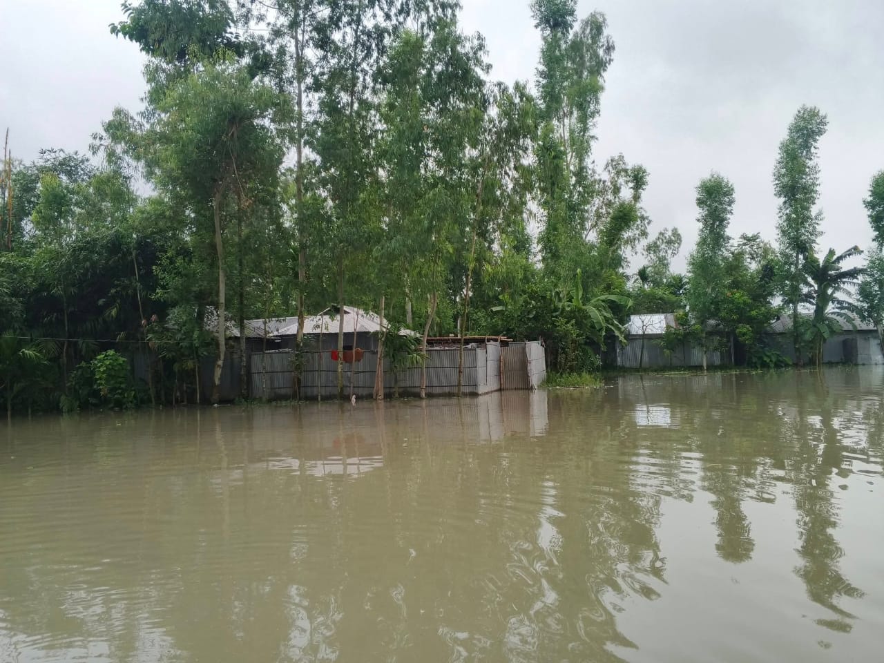 ভাঙনের আশঙ্কায় তিস্তা পাড়ের মানুষের নির্ঘুম রাত্রি যাপন
