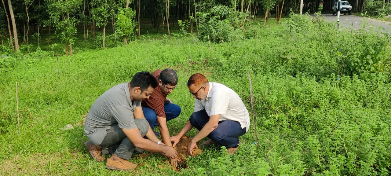 গাজীপুরের কালিয়াকৈরে তালবীজ রোপণ কর্মসূচি অনুষ্ঠিত