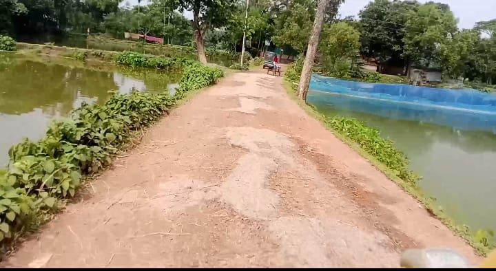 কদমতলী থেকে নতুন বুইধ্যারবাজার সড়ক এখন চলাচলের অনুপযোগী হয়ে পড়েছে
