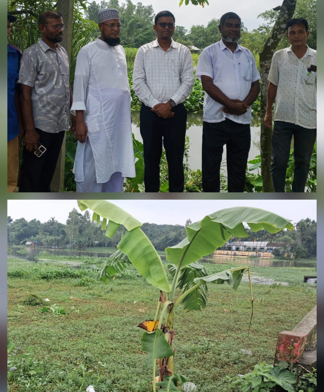 ডিমলায় কচুরিপানা অপসারণে উদ্যোগ, জলাবদ্ধতা নিরসনে স্বস্তির আশা