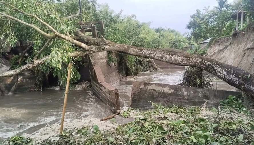 ডোমারে স্লুইসগেট ধস, নদীগর্ভে বসতভিটার অংশ: দুশ্চিন্তায় শতাধিক কৃষক পরিবার