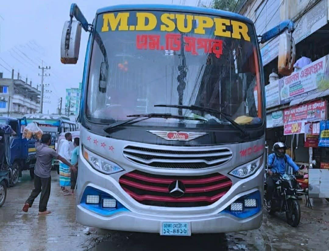 ঘাটাইলে সড়ক দুর্ঘটনায় বৃদ্ধা নারী নিহত