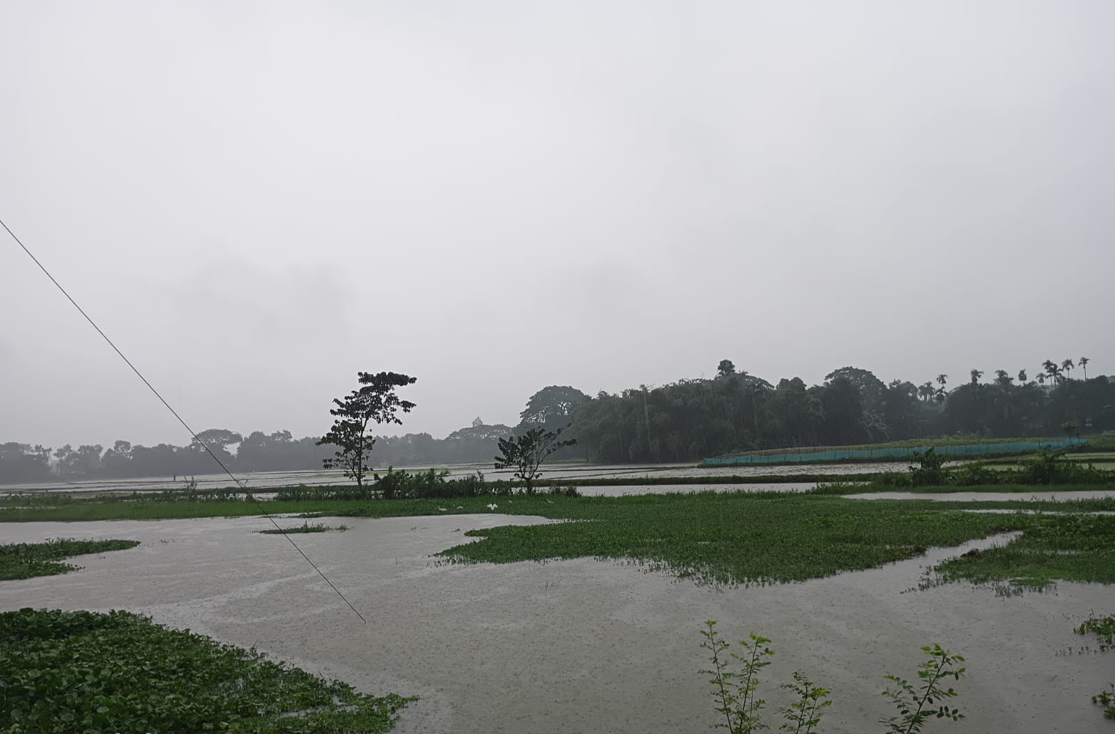 অতিবৃষ্টিতে পূর্বধলায় জনজীবন স্থবির, চরম দুর্ভোগে শ্রমজীবী ও শিক্ষার্থীরা