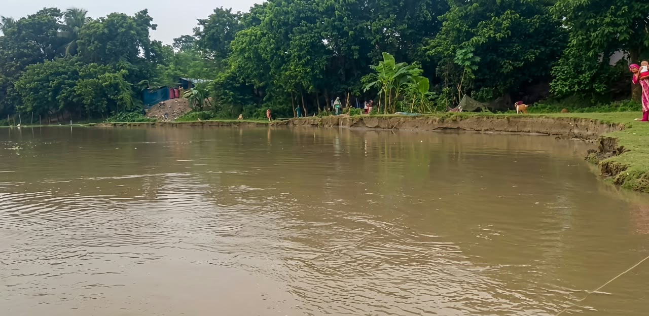 পদ্মার তীব্র ভাঙনে গোদাগাড়ী কুঠিপাড়ায় ভিটেমাটি হারানোর আতঙ্ক বাঁধ নির্মাণের আকুল দাবি