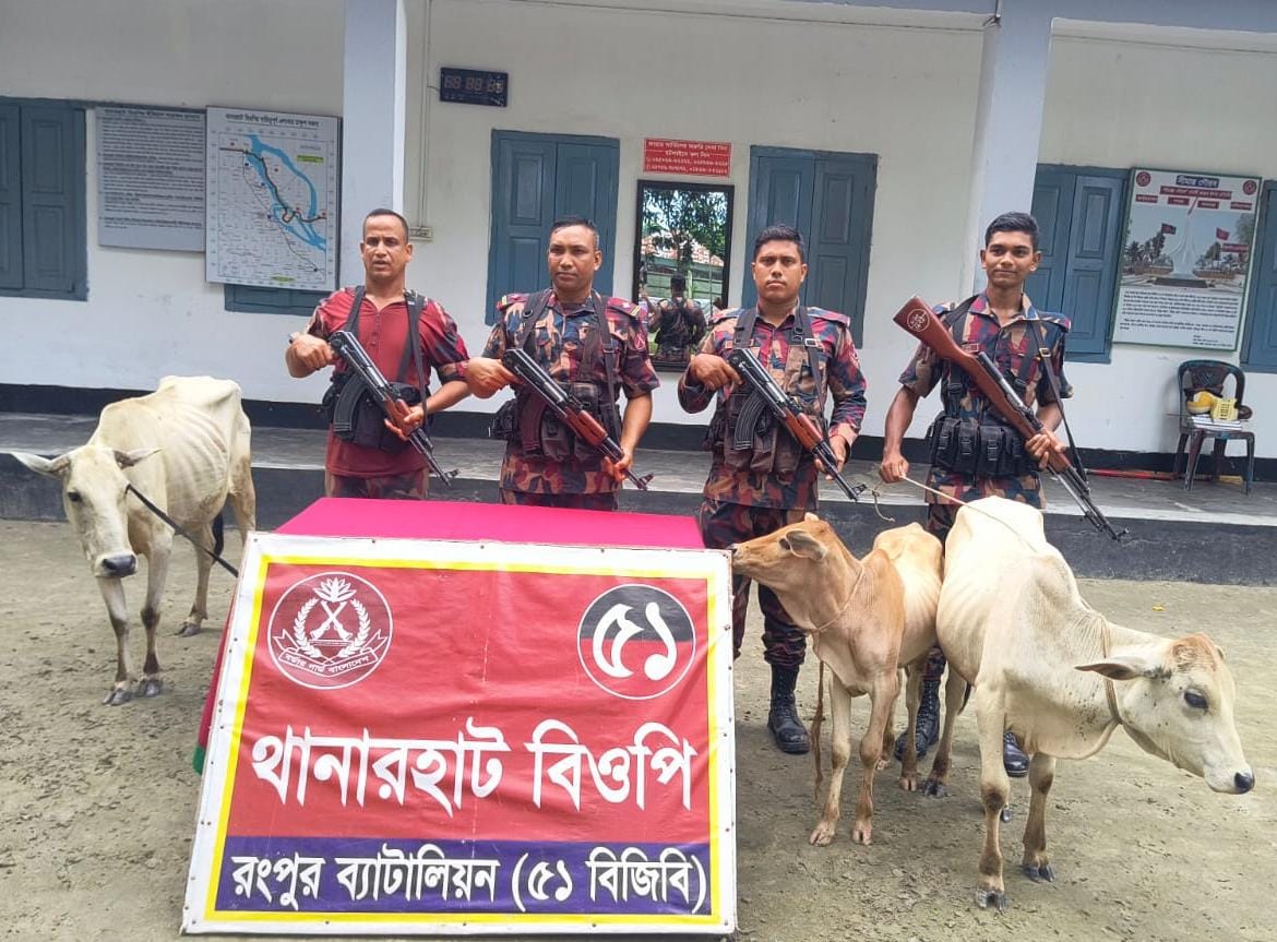 ডিমলার থানারহাট সীমান্তে ভারতীয় ৩ গরু জব্দ, পালিয়ে গেল চোরাকারবারিরা