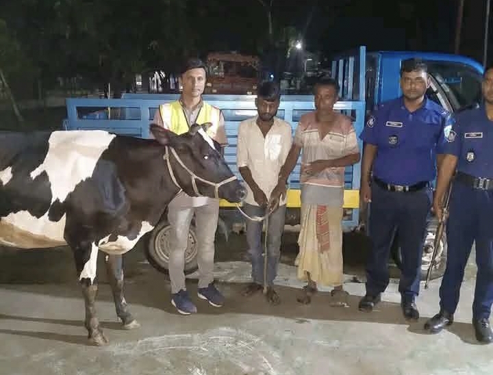নিয়ামতপুরে আন্ত:জেলা চোর চক্রের দুই গরুচোর গ্রেপ্তার