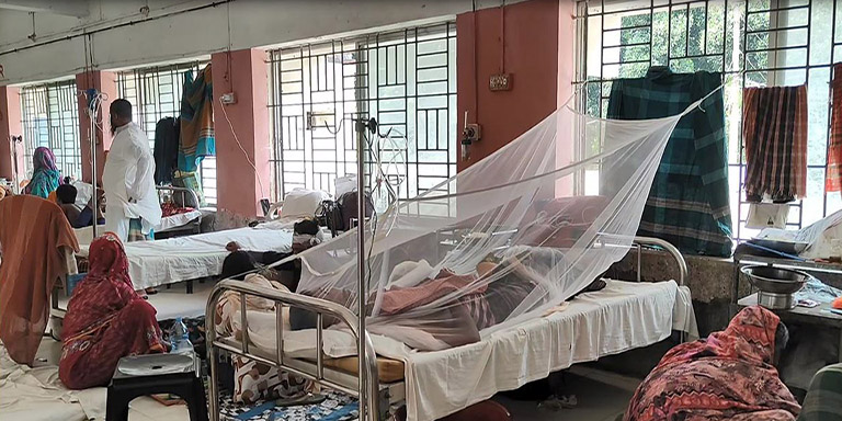 যশোরের শার্শায় এক সপ্তাহে শিশুসহ ২২ জন ডেঙ্গু জ্বরে আক্রান্ত হয়েছে