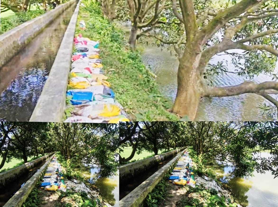 চাঁপাইনবাবগঞ্জে অগ্রণী সেচ প্রকল্পের মেন ক্যানেল ঝুঁকিতে, ২৫০০ পরিবারের ফসল নিয়ে শঙ্কা