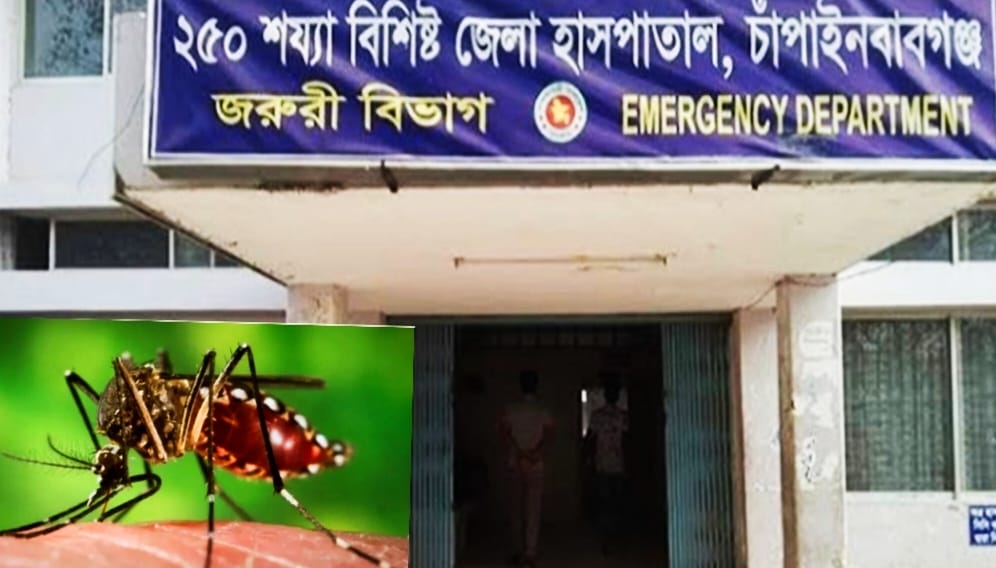 চাঁপাইনবাবগঞ্জে ২৪ ঘণ্টায় নতুন ডেঙ্গু রোগী ৩৯, মোট আক্রান্ত ২ হাজার ৬৮০