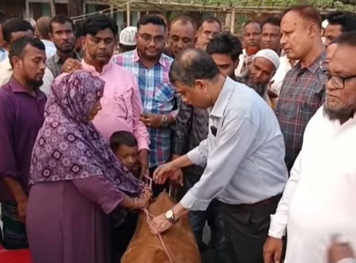 বুড়িমারীতে সড়ক দুর্ঘটনায় নিহত চার পরিবারকে সংসদ সদস্যের গরু অনুদান