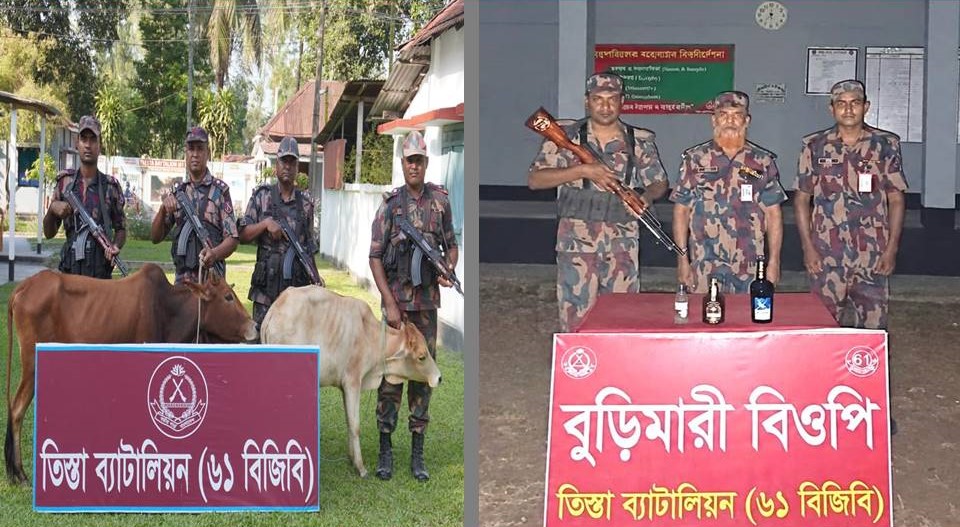 পাটগ্রাম সীমান্তে ৬১ বিজিবি কর্তৃক ভারতীয় মদ এবং গরু আটক