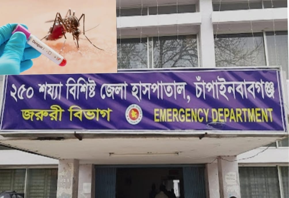চাঁপাইনবাবগঞ্জে ২৪ ঘণ্টায় আরও ৬০ জন ডেঙ্গু আক্রান্ত, হাসপাতালে ভর্তি ১৬৪