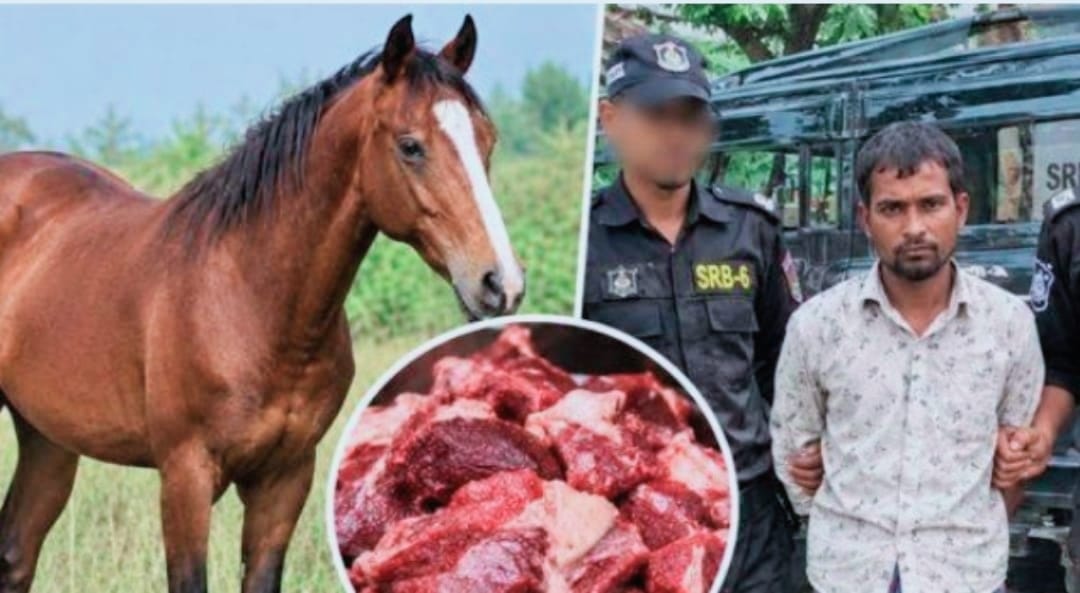 ডুমুরিয়ায় ঘোড়া জবাই করে মাংস বিক্রির অভিযোগ, মূলহোতার ৩ মাসের কারাদণ্ড