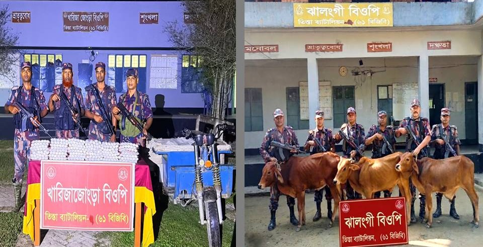 পাটগ্রাম সীমান্তে ৬১ বিজিবি’র ভারতীয় কসমেটিকস ও গরু আটক